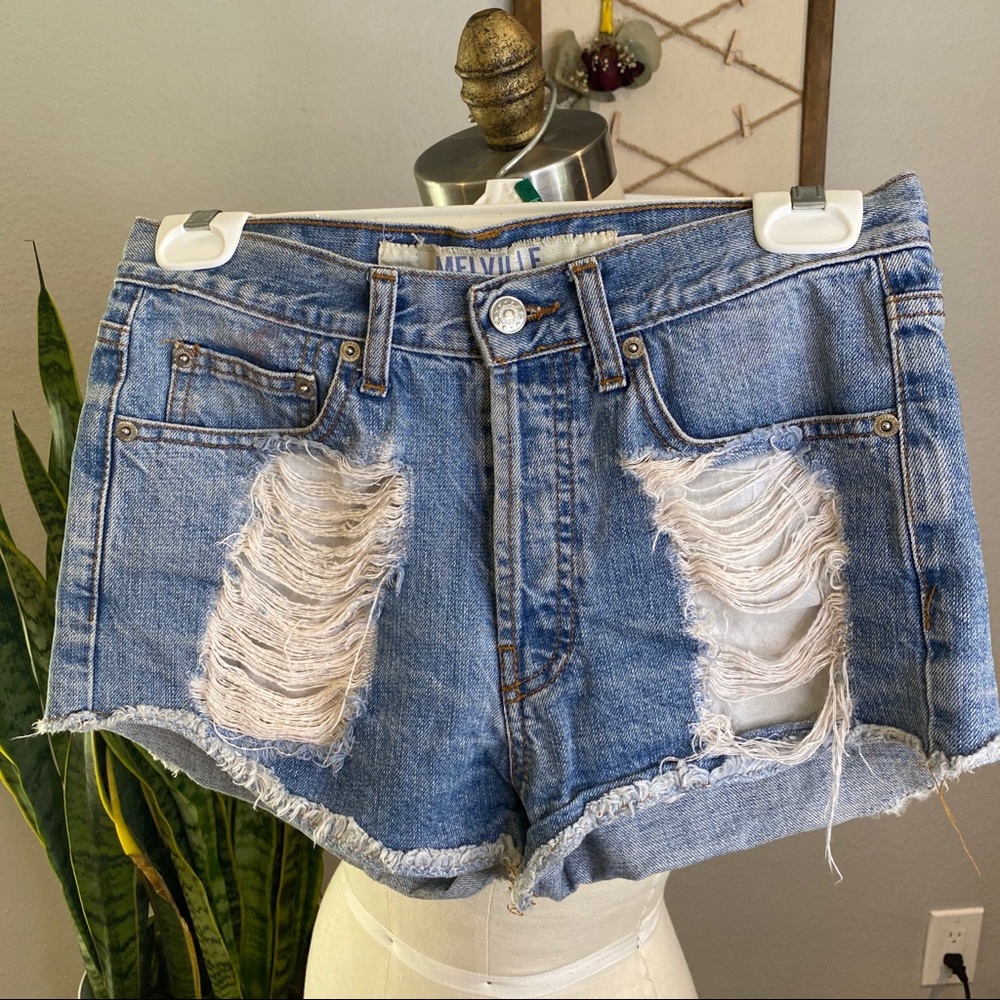 Ripped High Waisted Denim Brandy Melville Shorts